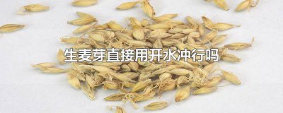 ​麦芽糖冲水用温水还是沸水 麦粉可以用开水冲吗