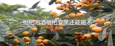 ​枇杷泡酒怎么枇杷要黑 枇杷泡白酒变黑了