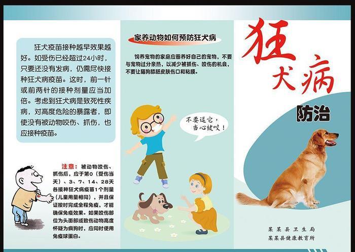 男子被猫抓伤身亡, 狂犬病认识与预防大揭秘