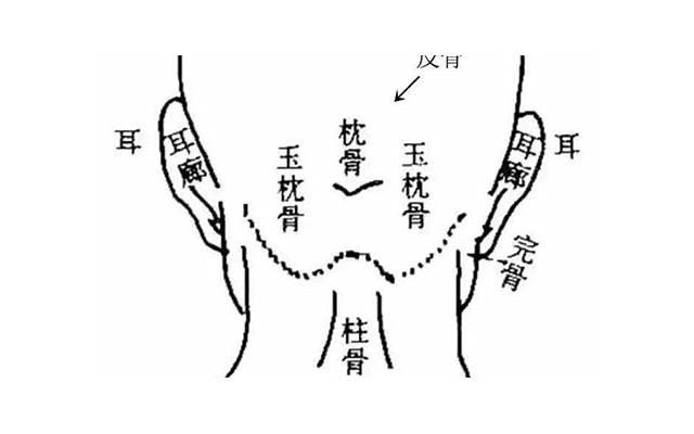 巨蟹座男和什么座最配「巨蟹座和什么座最配夫妻」